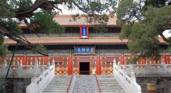太牛啦，山東喜獲一條西北方向高速大動脈，有你故鄉(xiāng)嗎？